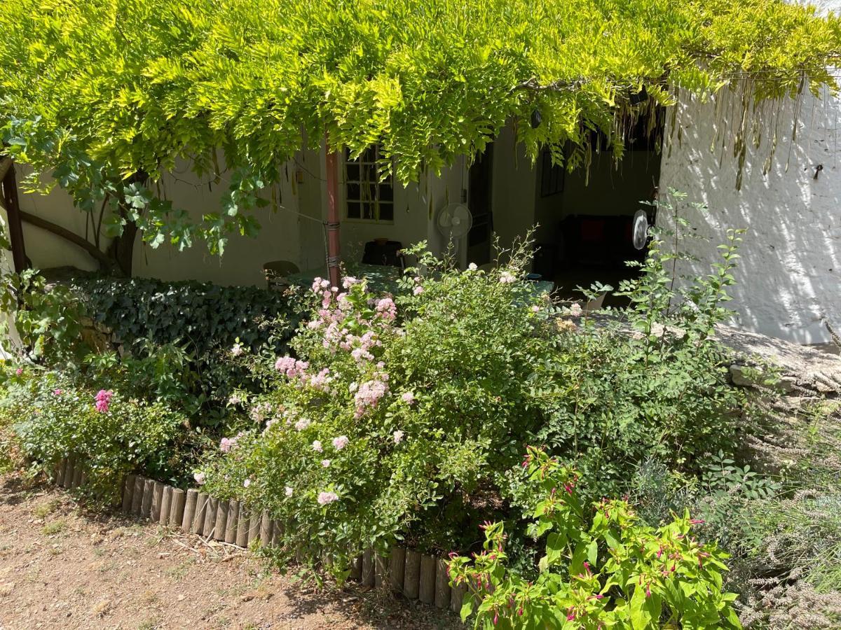 L'Ancienne Raffinerie De Tabac Villa Dernacueillette Eksteriør billede